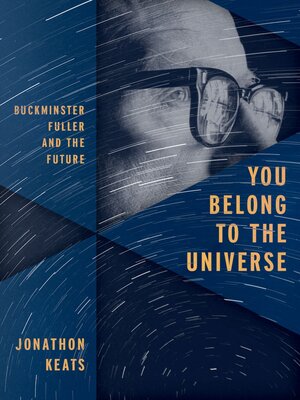 cover image of You Belong to the Universe